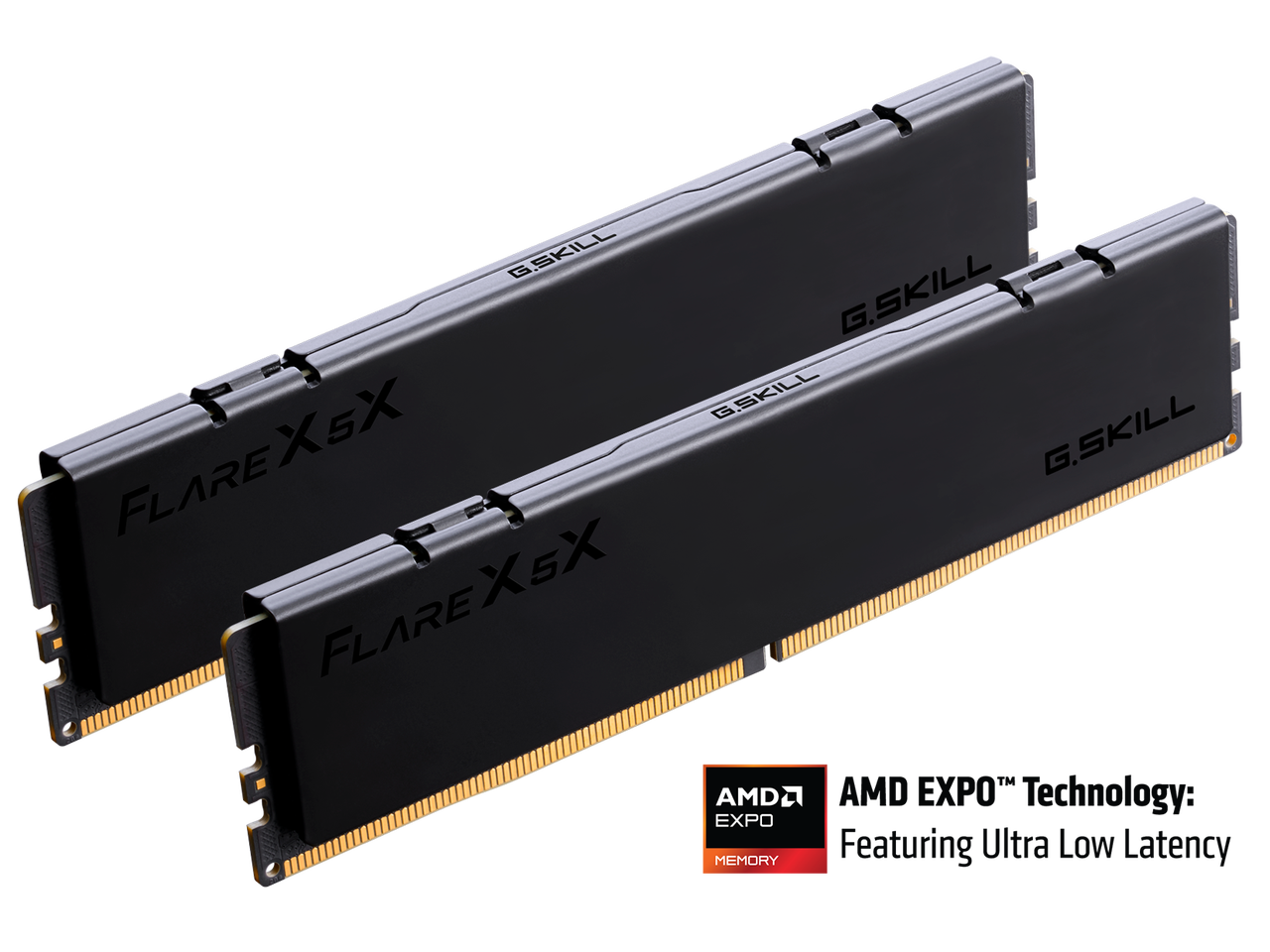 G.SKILL FLARE X5X  
G.SKILL FLARE X5X  
AMDA EXPO™ Technology: EXPO  
Featuring Ultra Low Latency MEMORY