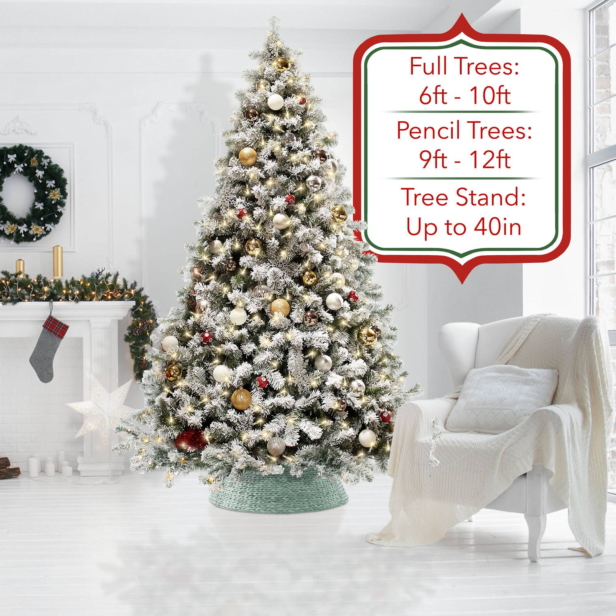 Full Trees: 6ft - 10ft  
Pencil Trees: 9ft - 12ft  
Tree Stand: Up to 40in