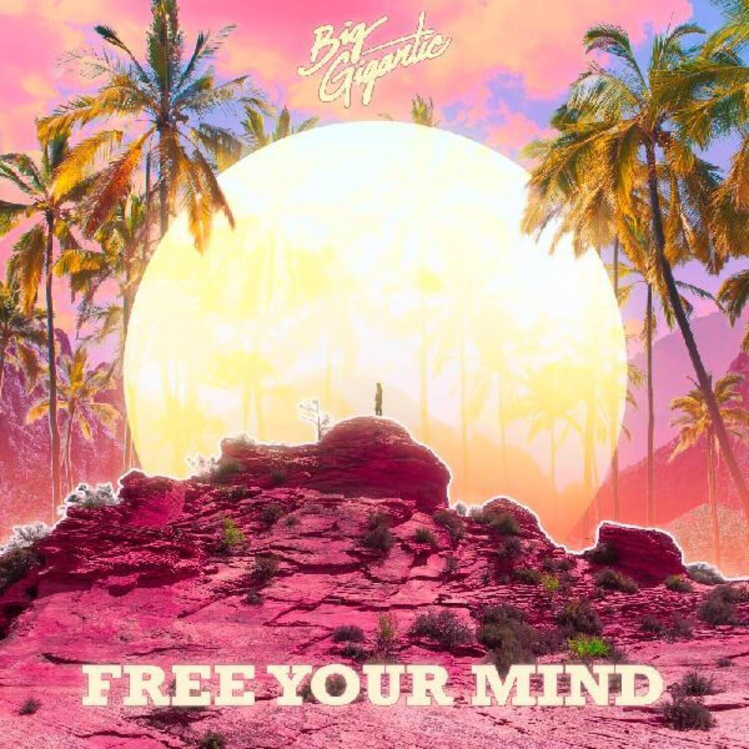 Big Gigantic - Free Your Mind   - COMPACT DISCS [CD] price history on PriceWatchPro