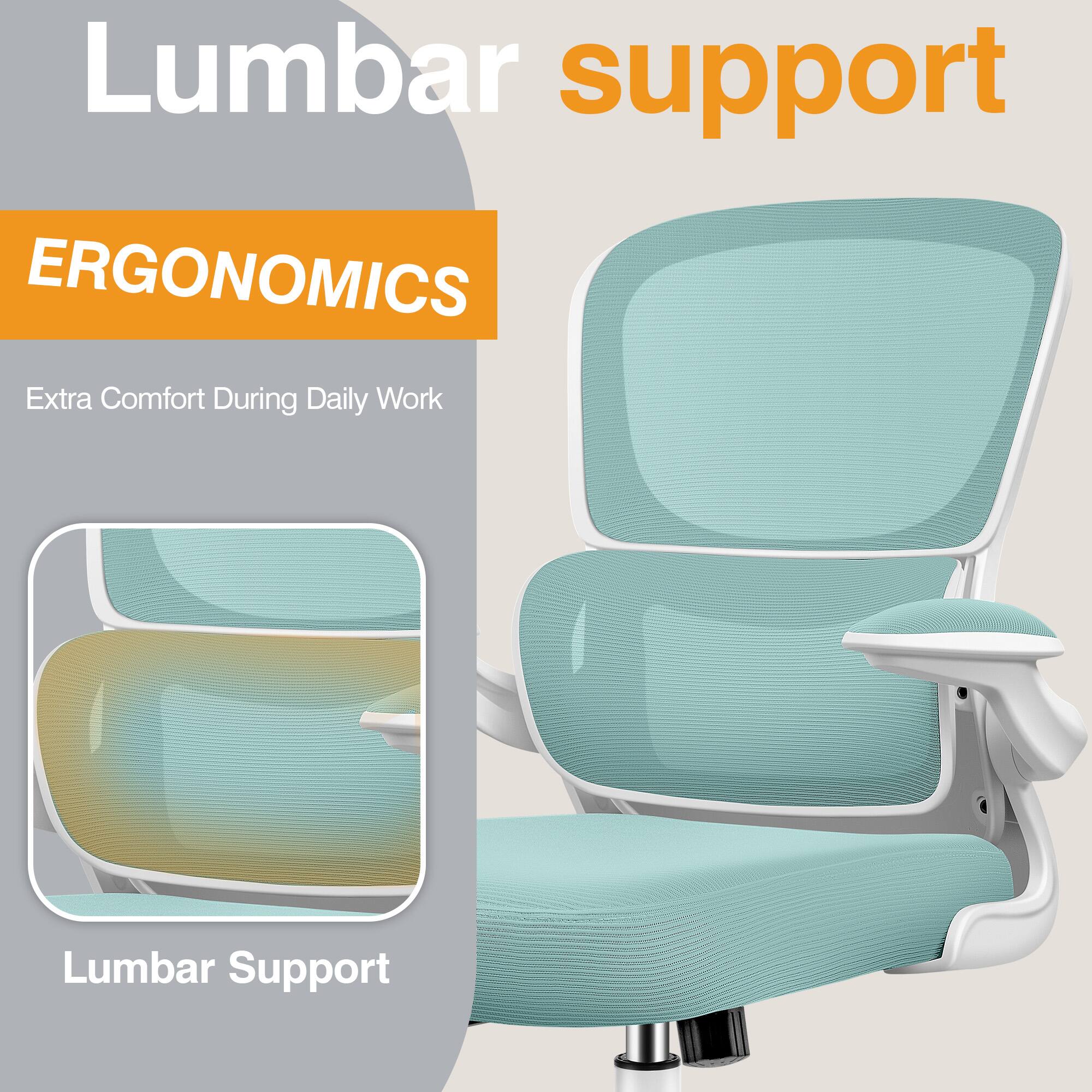 Lumbar support

ERGONOMICS

Extra Comfort During Daily Work

Lumbar Support