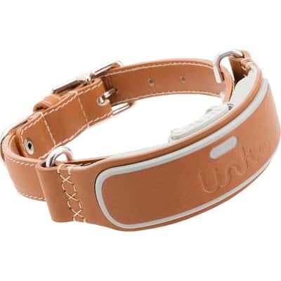 LINK AKC - Smart Dog Classic Leather Collar (Medium)