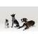 Alt View 16. Link AKC - Smart Dog Classic Leather Collar (Large).