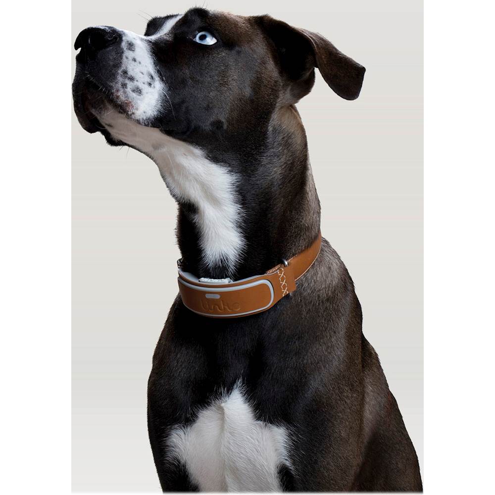 LINK AKC Smart Dog Collar Review: Find Your Lost Pooch