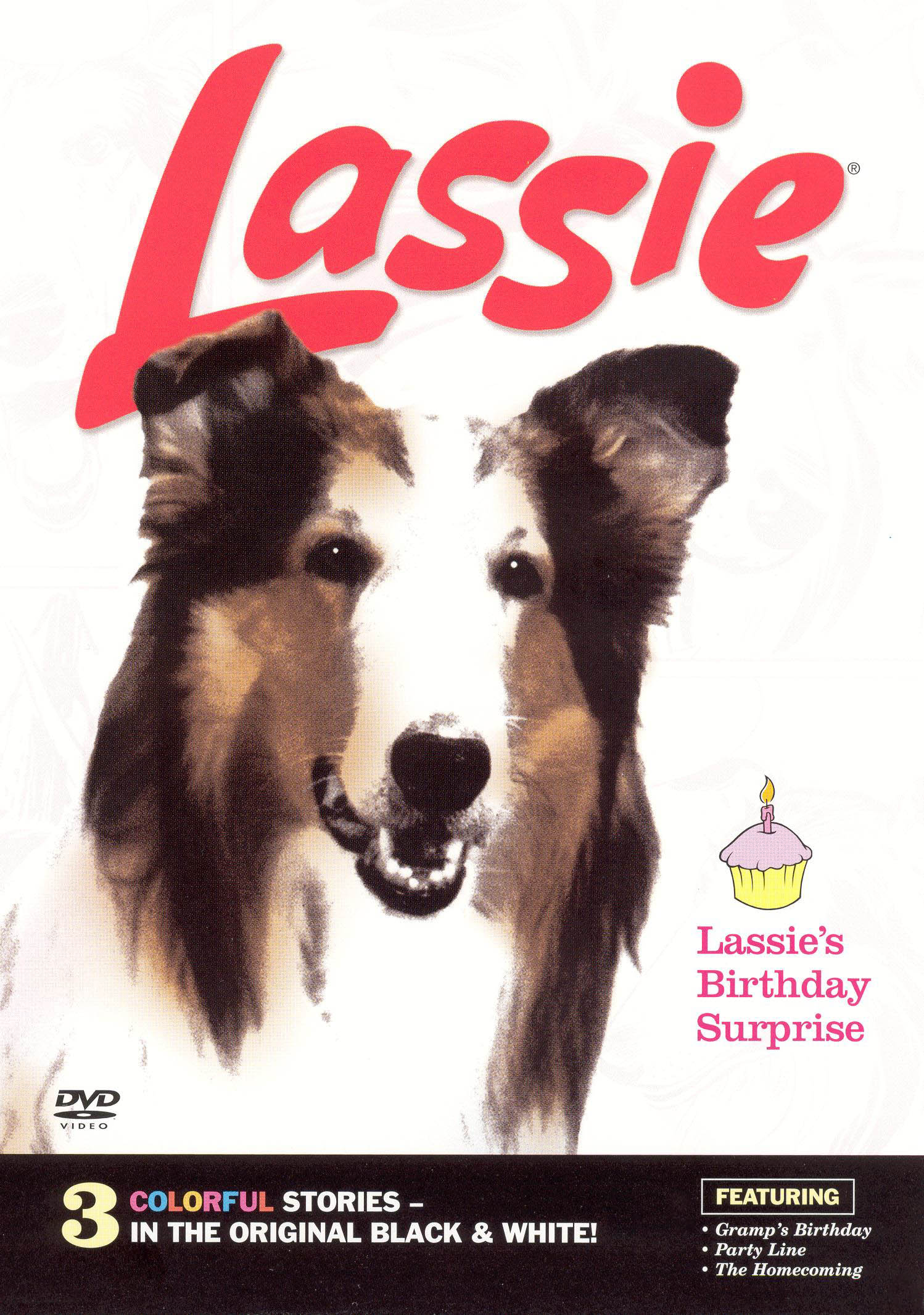 Best Buy Lassie Lassies Birthday Surprise