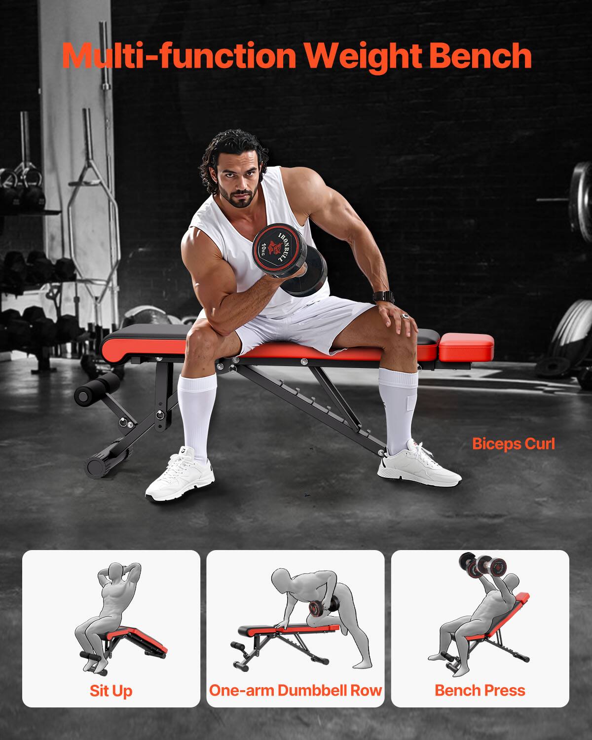 Multi-function Weight Bench

Biceps Curl

Sit Up

One-arm Dumbbell Row

Bench Press