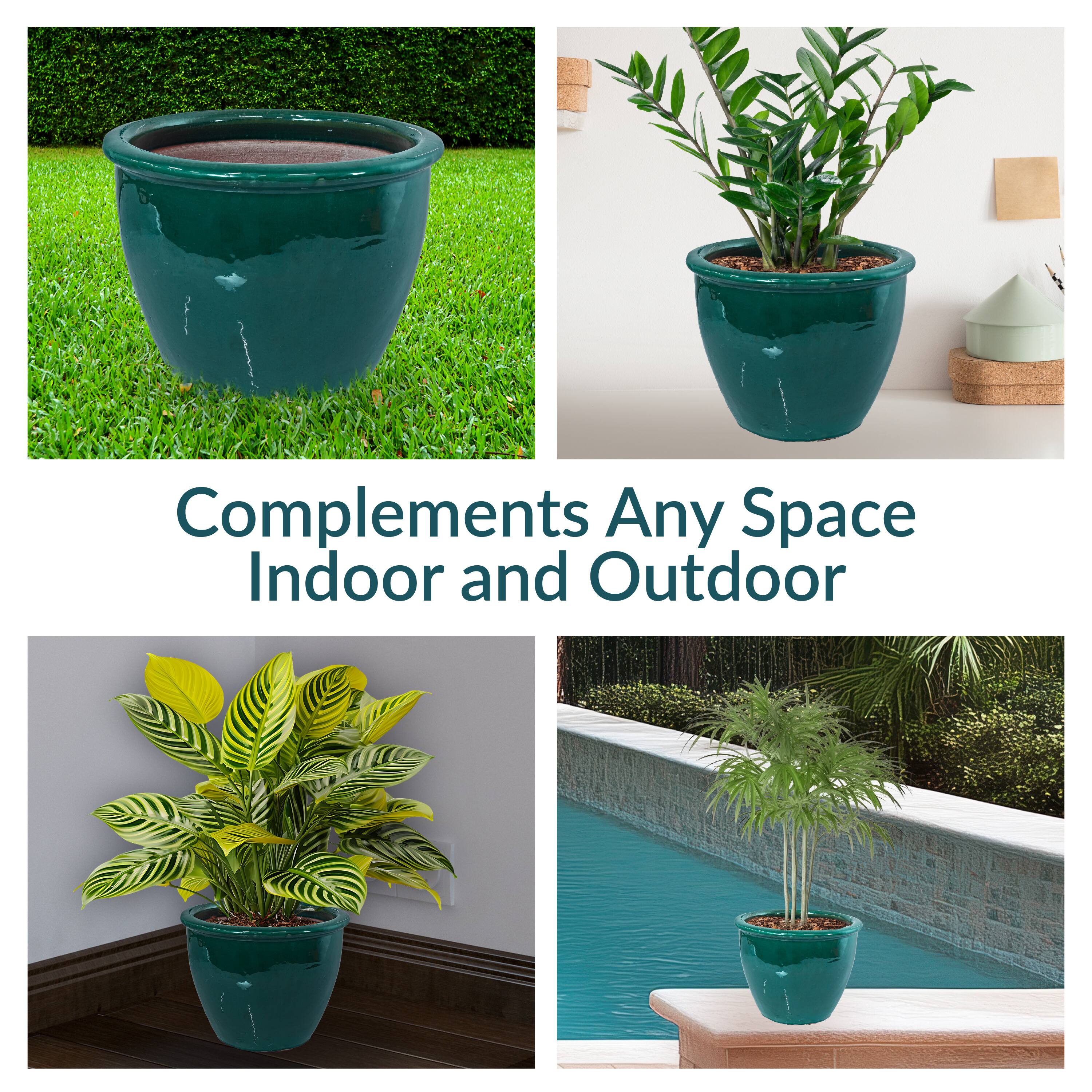Complements Any Space Indoor and Outdoor