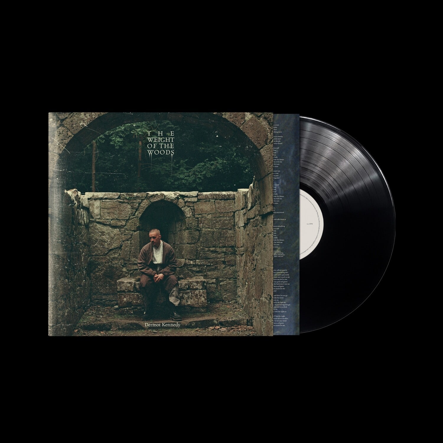 Dermot Kennedy - The Weight of the Woods   - VINYL LP price history on PriceWatchPro