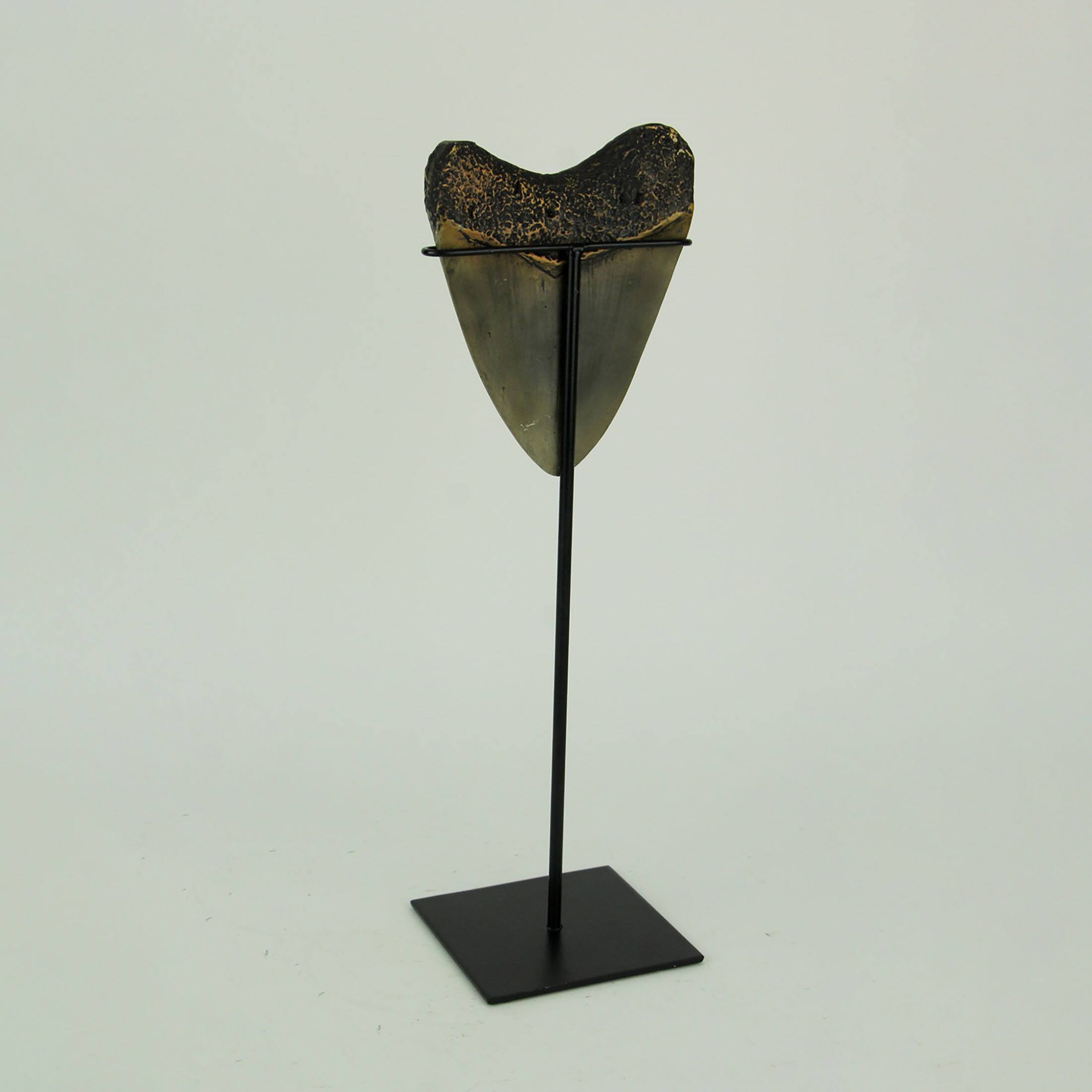 Alt View 2. Zeckos - Mounted Giant 6 Inch Megalodon Shark Tooth Fossil Replica Sculpture - Grey.
