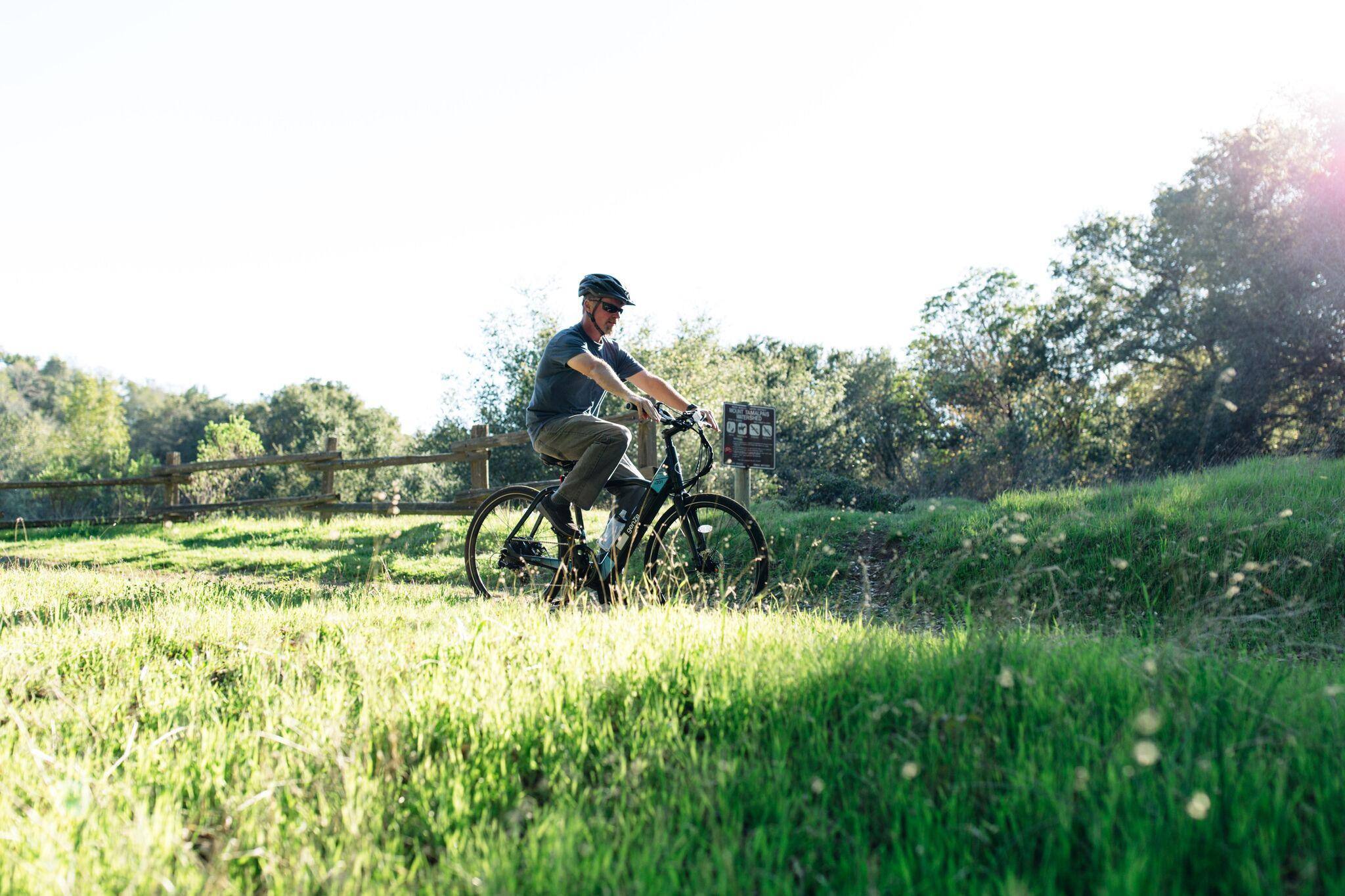 genze 200 series electric bike