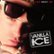 Front Standard. The Best of Vanilla Ice [CD].
