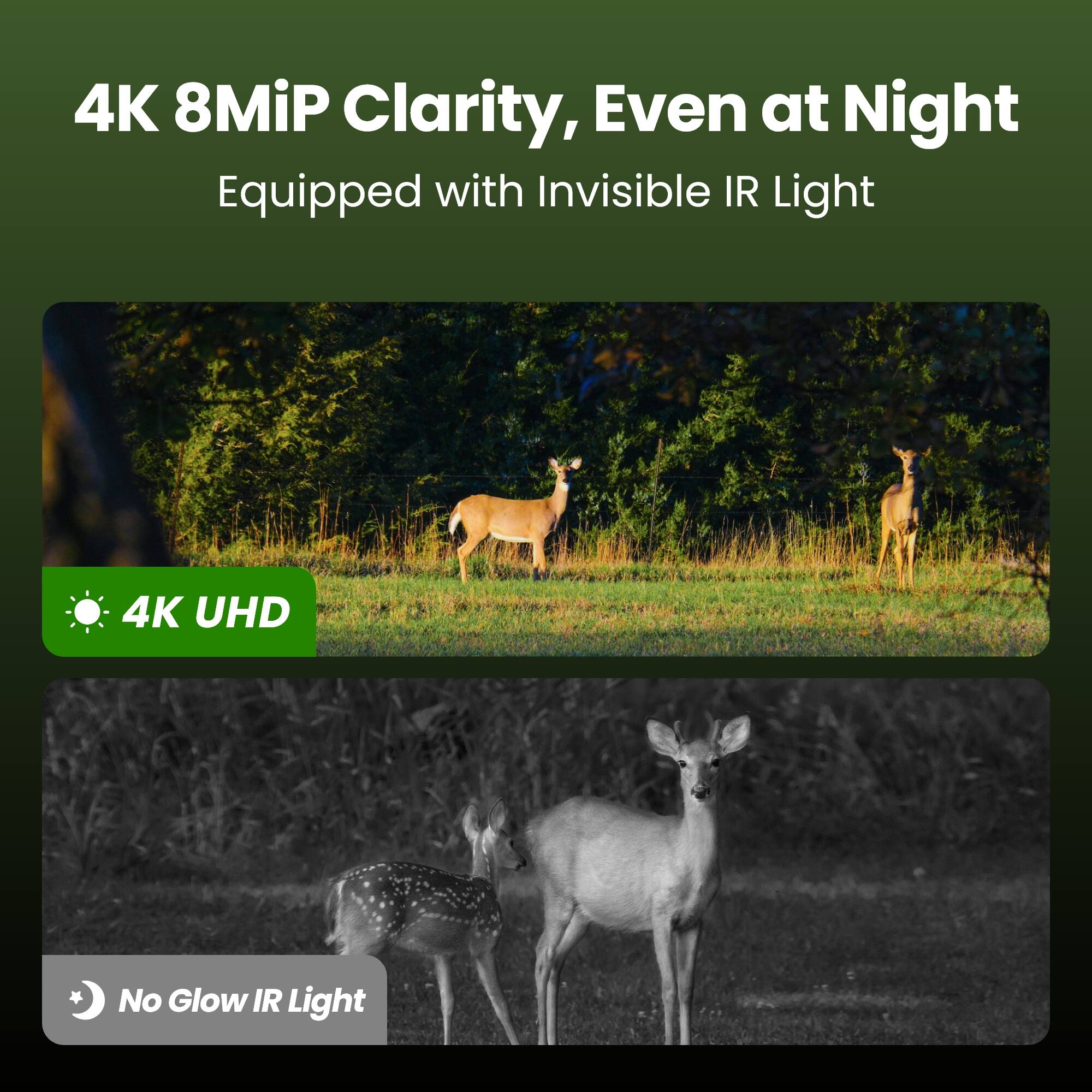 4K 8MiP Clarity, Even at Night
Equipped with Invisible IR Light

4K UHD

No Glow IR Light