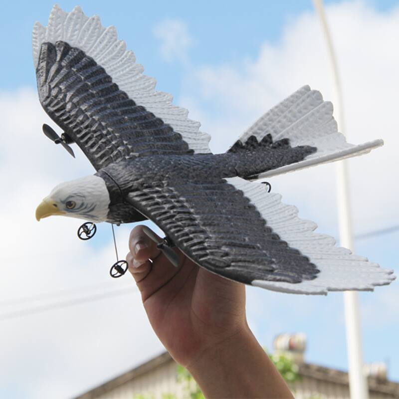 Left. Jupiter Creations - Bald Eagle R/C.