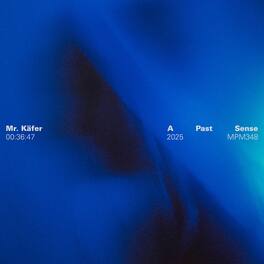 Mr. Käfer - A Past Sense - VINYL LP