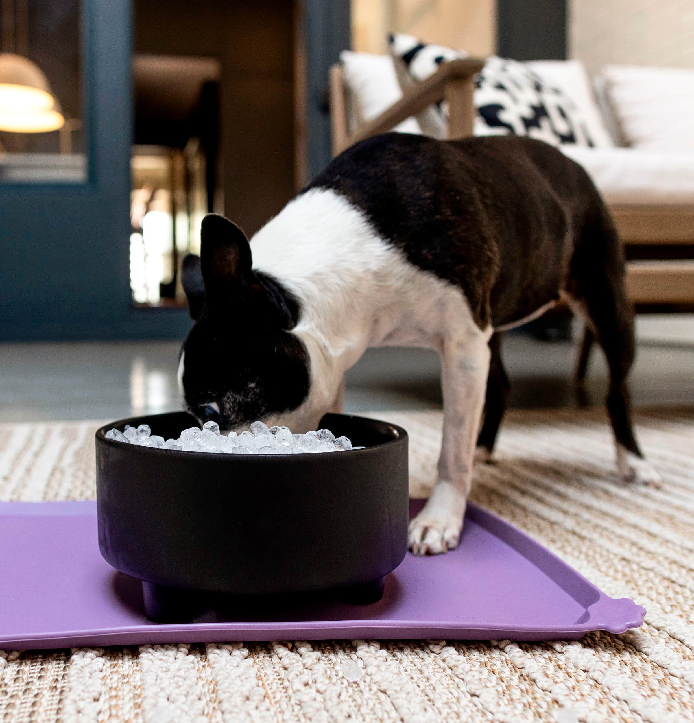 Alt View 26. GE Profile - Opal 2.0 Ultra Nugget Ice Maker with Scale Inhibiting Filter - Stone White.