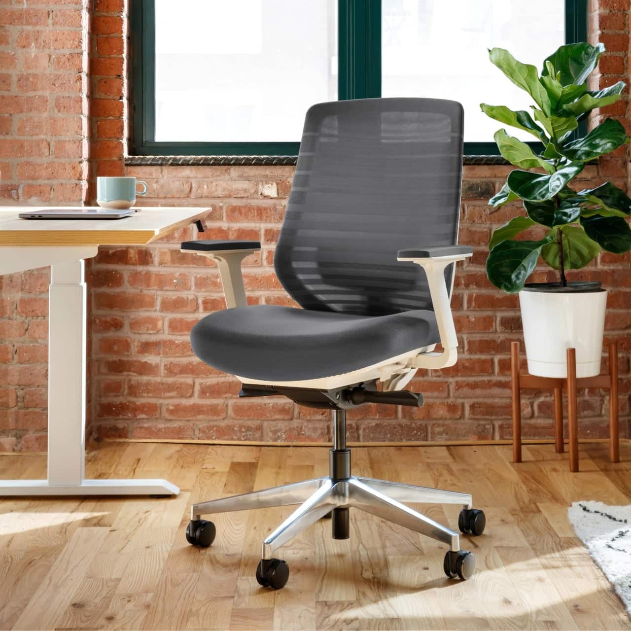 Branch Furniture - Branch Ergonomic Chair – Adjustable Lumbar, Breathable Mesh, Smooth Wheels, and All-Day Comfort for Any Workspace - Graphite / White