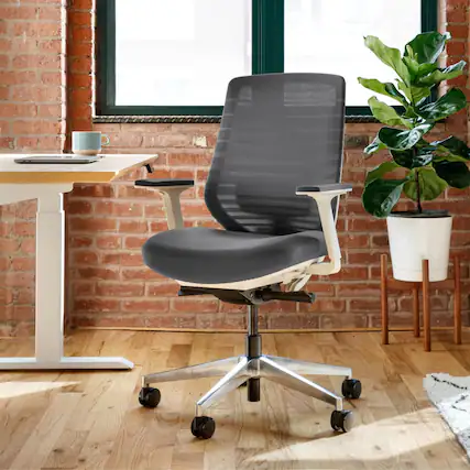 Front. Branch Furniture - Branch Ergonomic Chair – Adjustable Office Chair for All-Day Comfort with Lumbar Support and Recycled Mesh Back - Graphite.