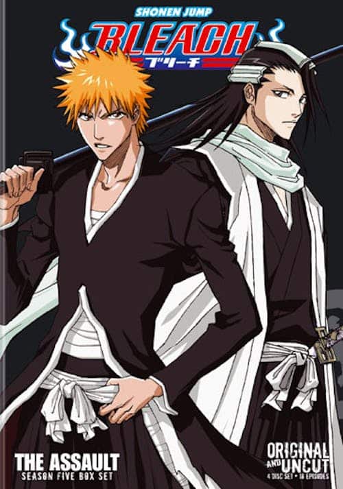 Bleach Uncut: Box Set 5 (DVD Uncut) [DVD]