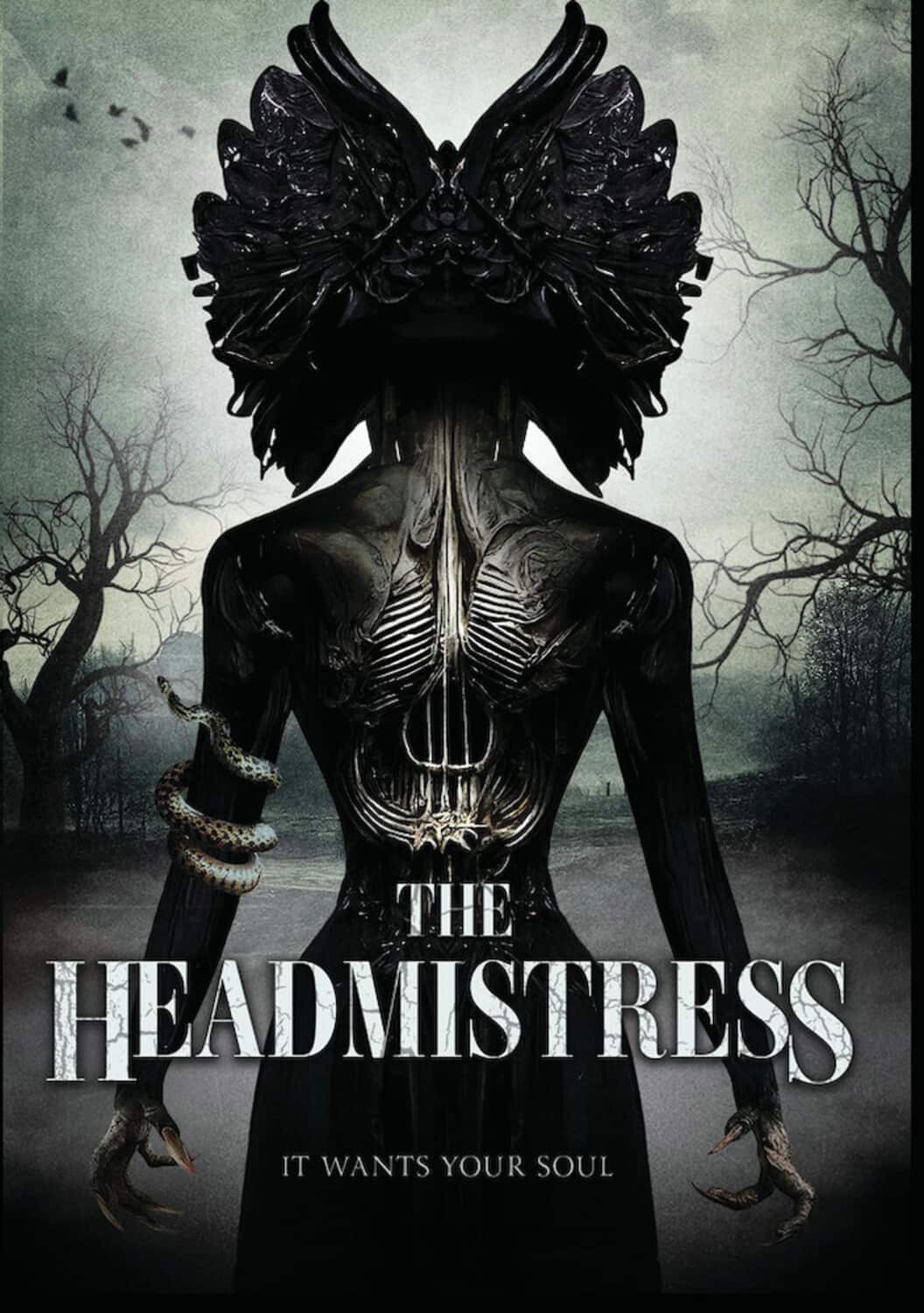 The Headmistress  - DVD