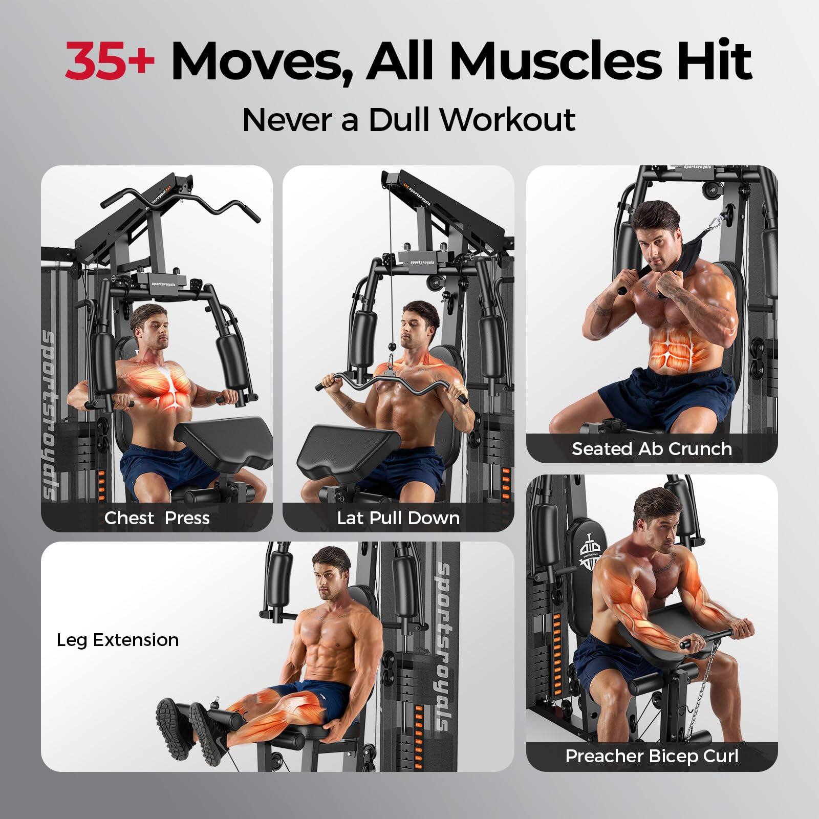 35+ Moves, All Muscles Hit  
Never a Dull Workout  

- Chest Press  
- Leg Extension  
- Lat Pull Down  
- Seated Ab Crunch  
- Preacher Bicep Curl