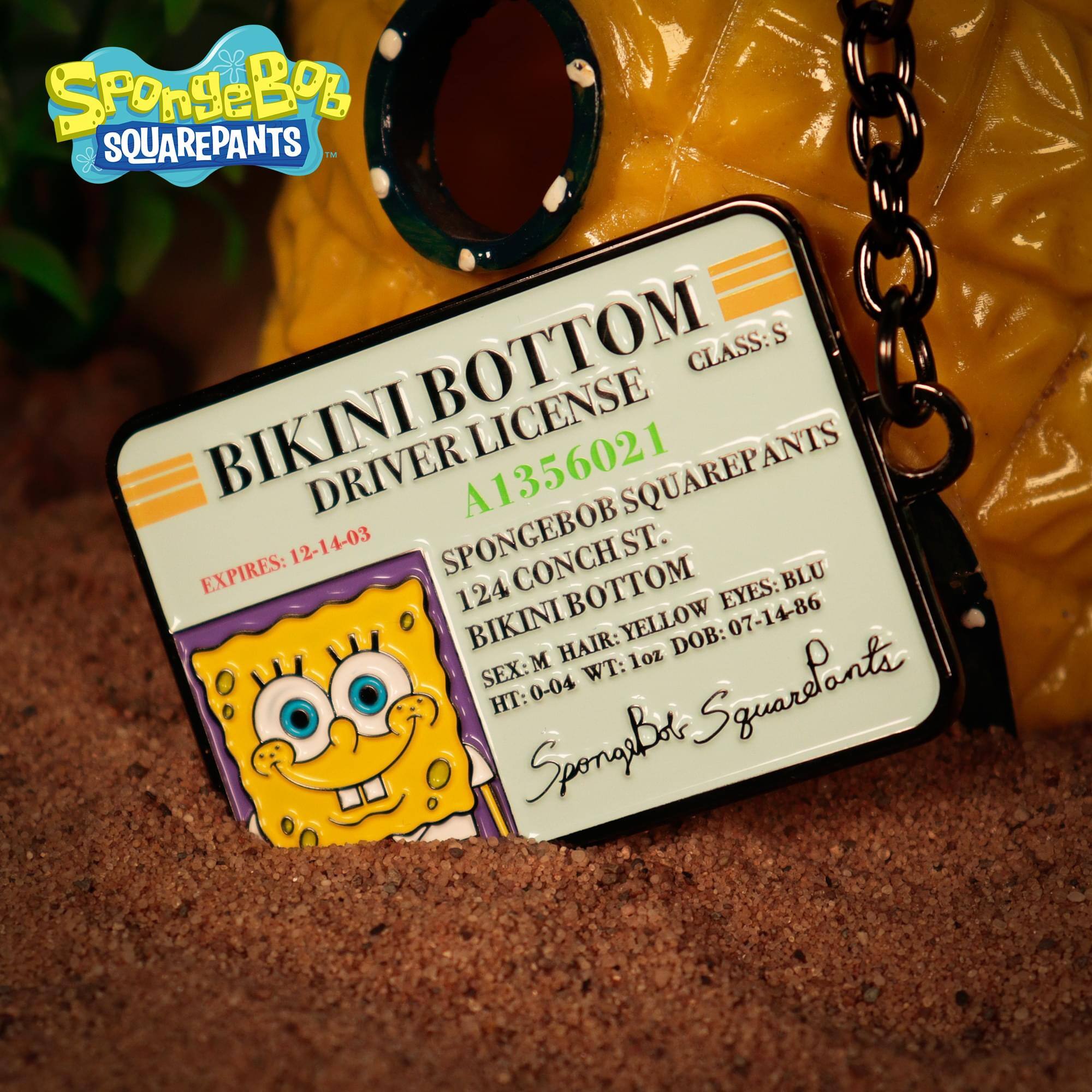 SpongeBob SQUAREPANTS  
TM  
BIKINI BOTTOM  
CLASS: S  
LICENSE DRIVER A1356021  
SQUAREPANTS  
EXPIRES: 12-14-03  
SPONGEBOB CONCHS ST.  
BLU  
124 BOTTOM YELLOW  
EYES: 07-14-86  
BIKINI HAIR:  
DOB: M  
WT: 1oz  
SEX: 0-04  
HT:  
SpongeBot Squarepants