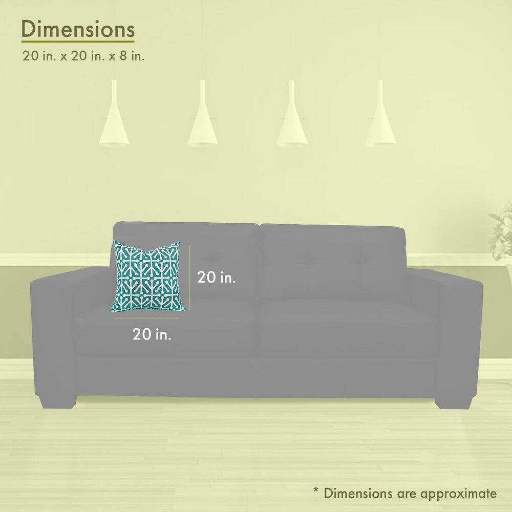 Dimensions  
20 in. x 20 in. x 8 in.  

20 in.  
20 in.  

*Dimensions are approximate