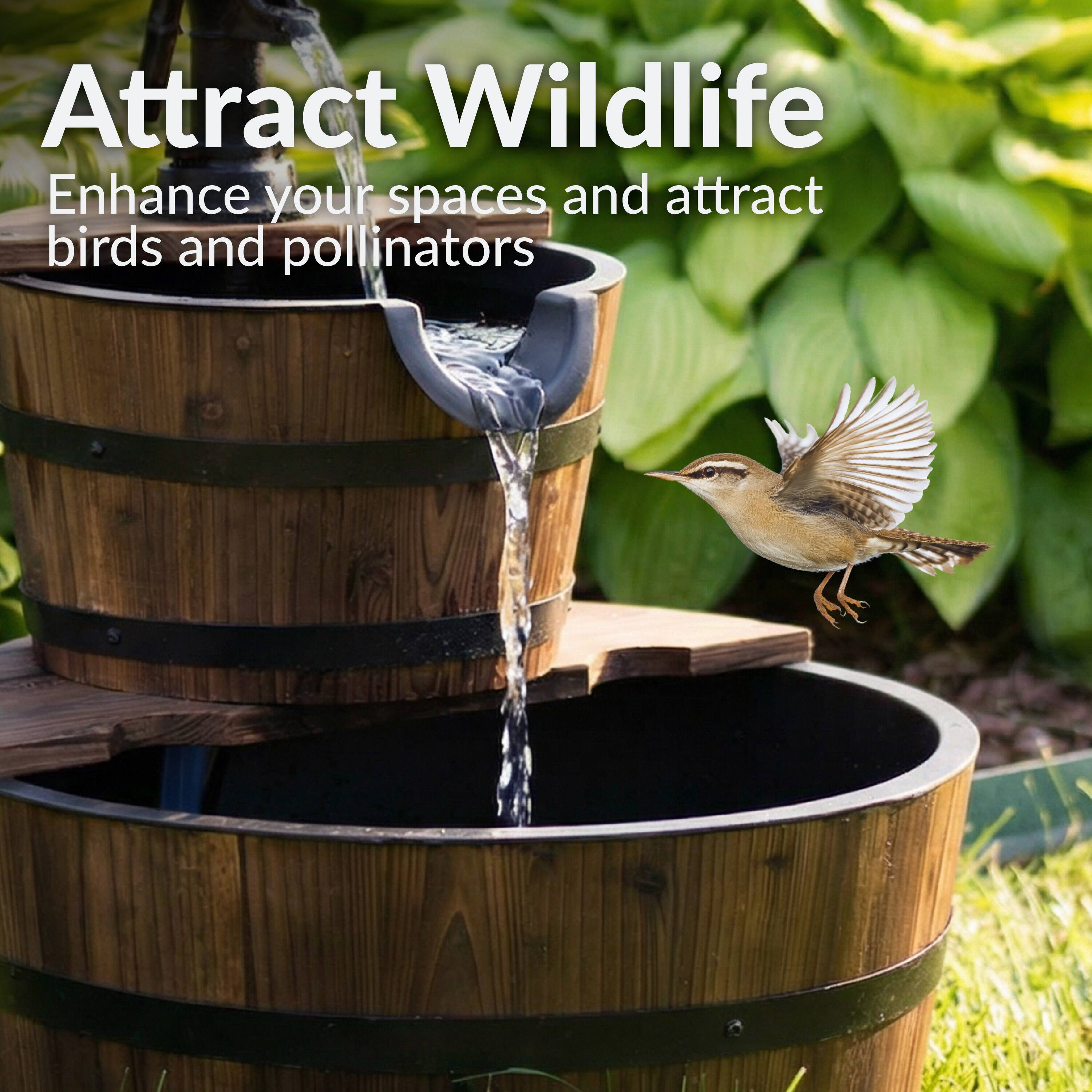 Attract Wildlife  
Enhance your spaces and attract birds and pollinators