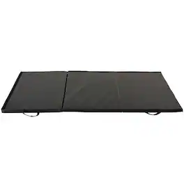 Sunny Health & Fitness - Tri-Fold Exercise Mat, 2-Inch-Thick Folding Gymnastics Mat, 72” x 36” Workout Mat with Vinyl Cover, Carry Handles - Black