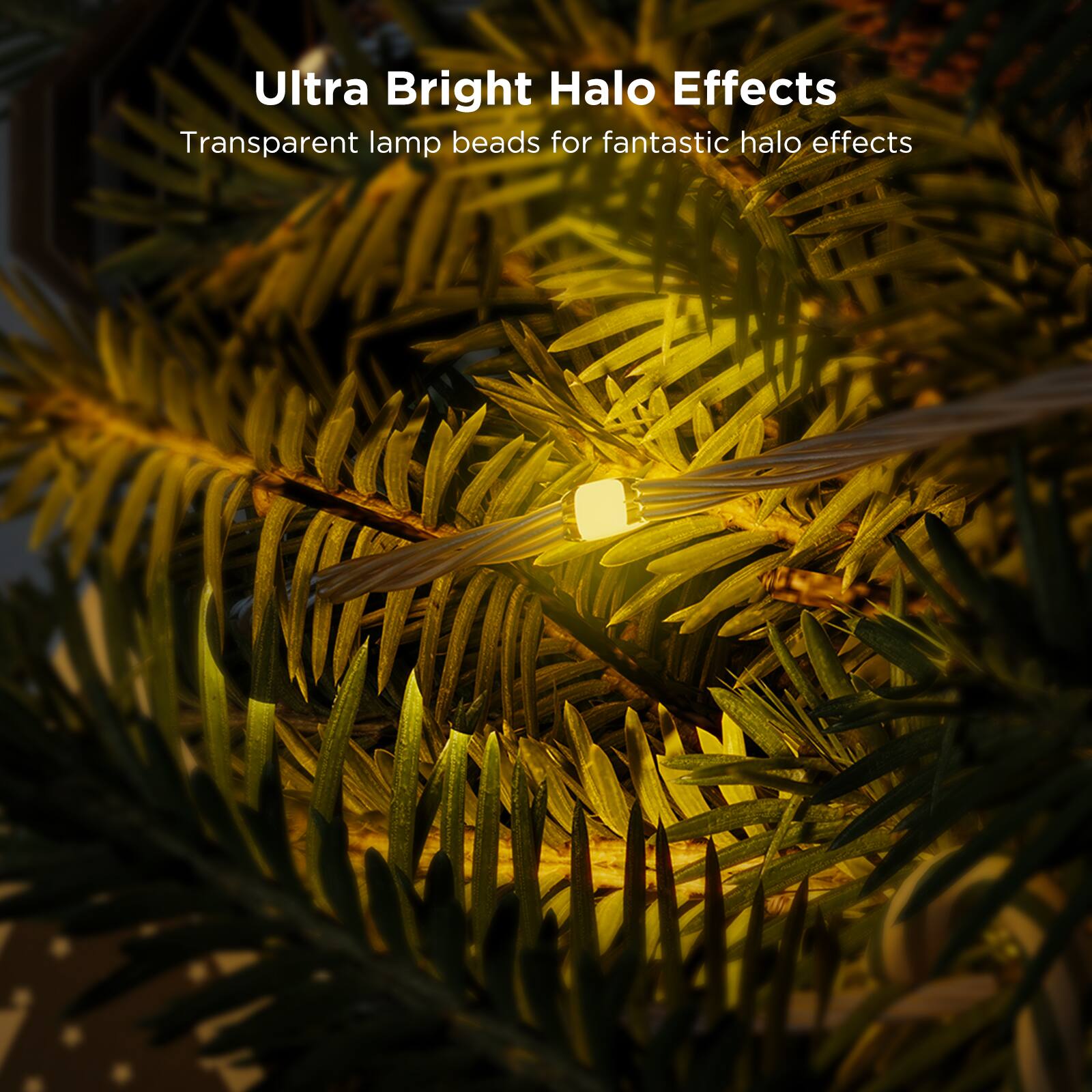 Ultra Bright Halo Effects
Transparent lamp beads for fantastic halo effects