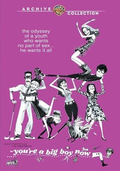 You're A Big Boy Now - DVD