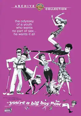 You're A Big Boy Now - DVD