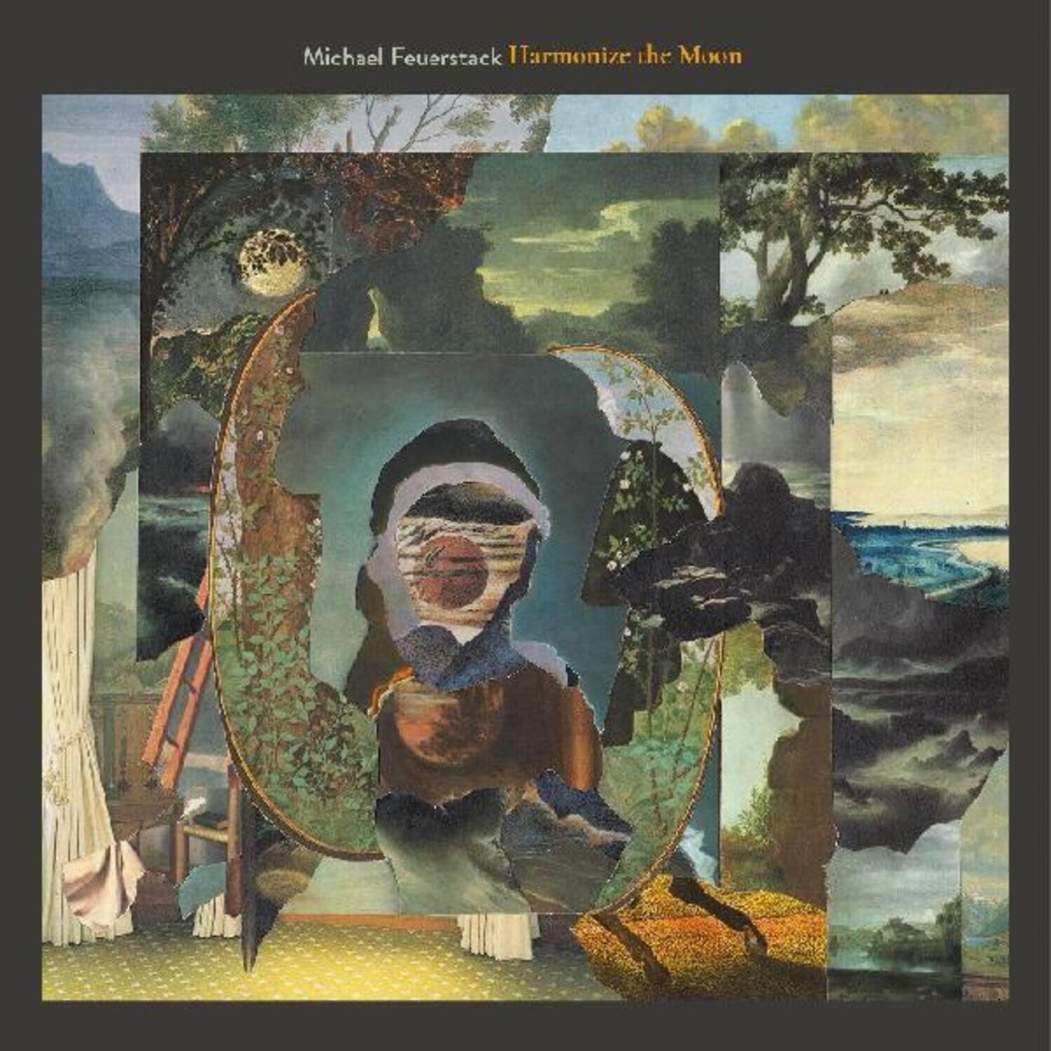 Michael Feuerstack  
Harmonize the Moon