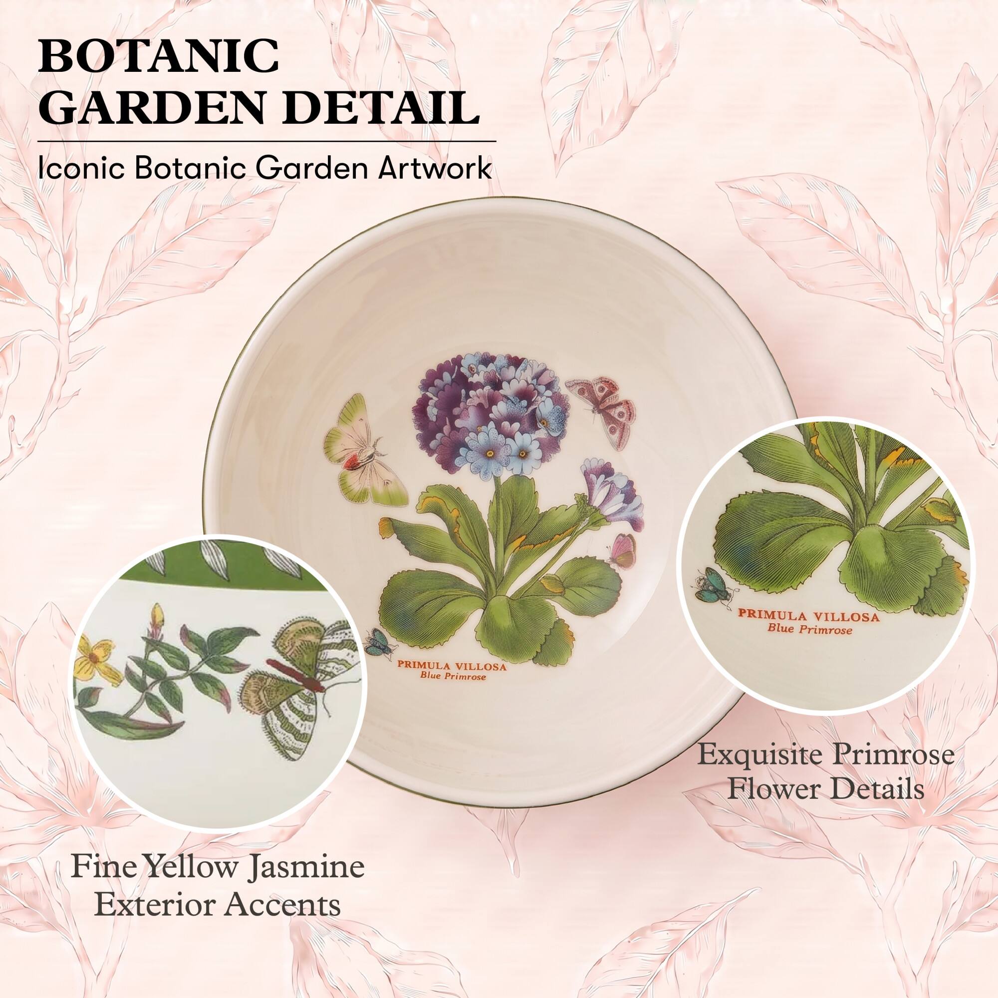 BOTANIC GARDEN DETAIL  
Iconic Botanic Garden Artwork  

PRIMULA VILLOSA Blue Primrose  
Exquisite Primrose Flower Details  

Fine Yellow Jasmine Exterior Accents