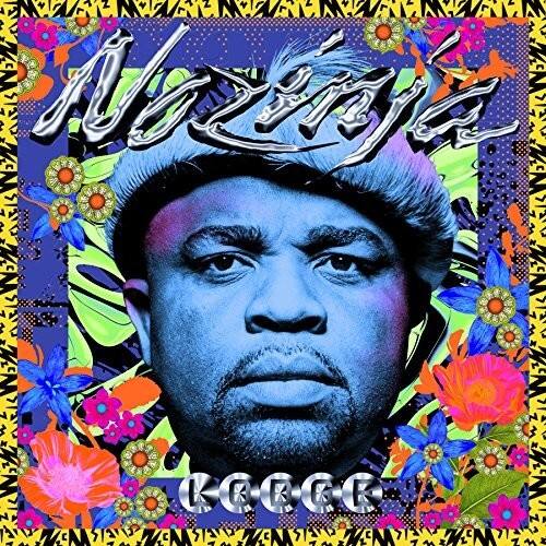Nozinja - Nozinja Lodge   - COMPACT DISCS [CD] price history on PriceWatchPro