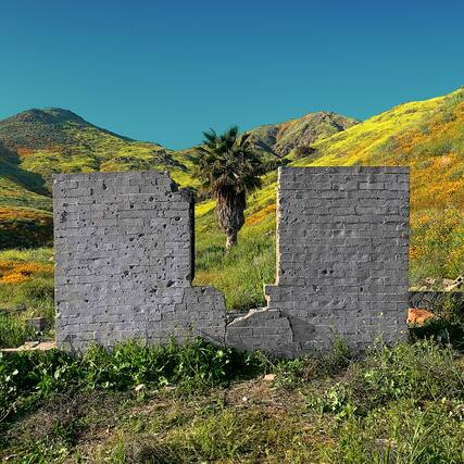 Front. Shopping - All Or Nothing - VINYL LP.