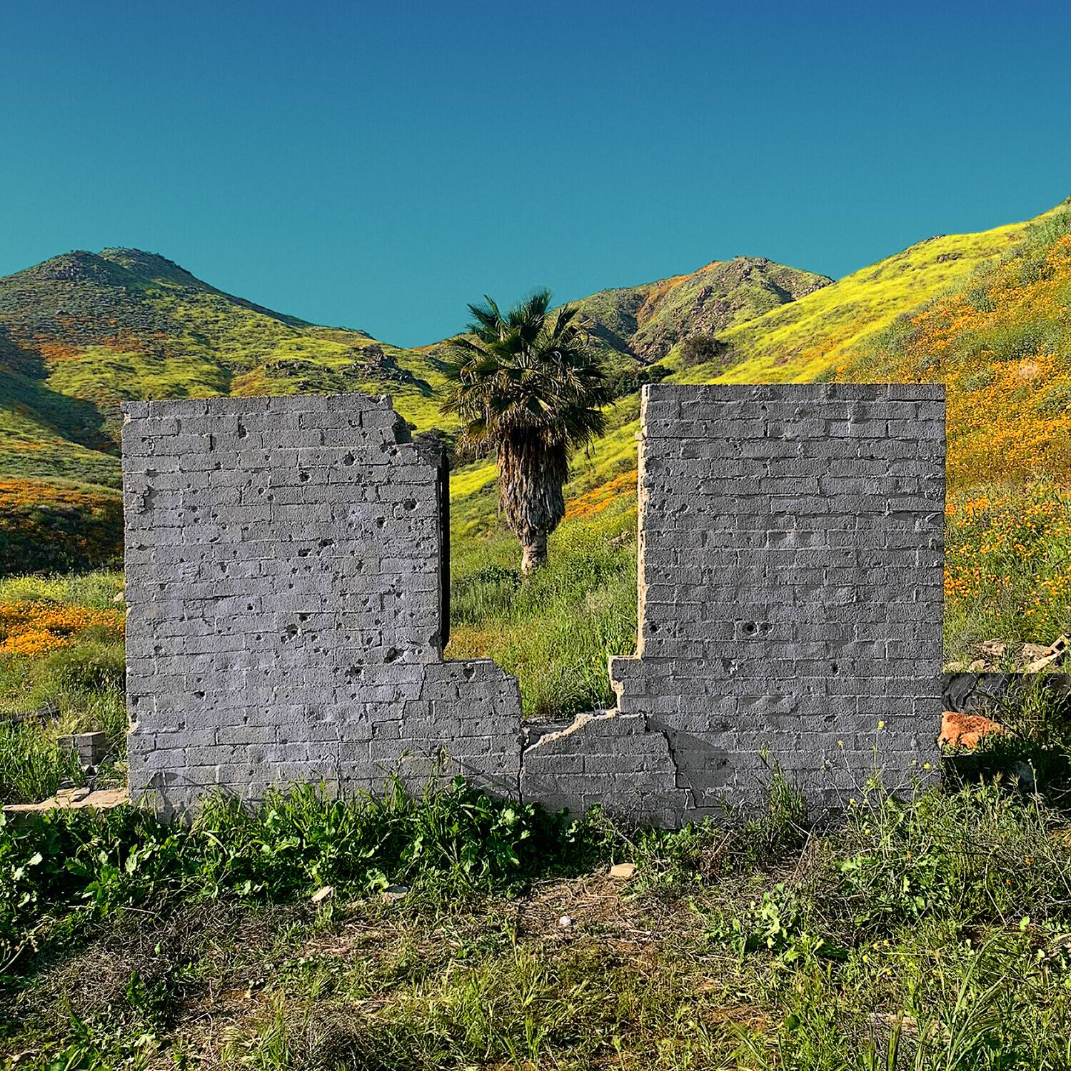 Front. Shopping - All Or Nothing   - VINYL LP.