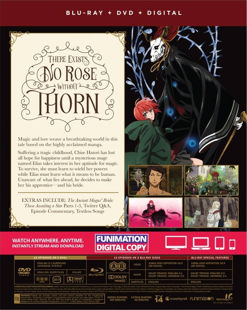 Alt View 1. Ancient Magus Bride: Part One   - BLU-RAY.