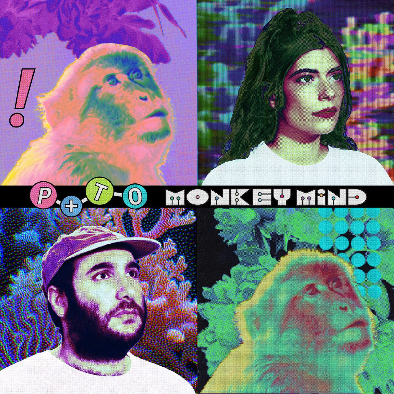 Pearl & the Oysters - Monkey Mind - MINT GREEN VINYL   - VINYL LP price history on PriceWatchPro