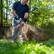 Alt View 6. SENIX - X6 60V Max* 16" Cordless Chainsaw, Brushless (4.0 Ah Battery & Charger Included) - Blue.