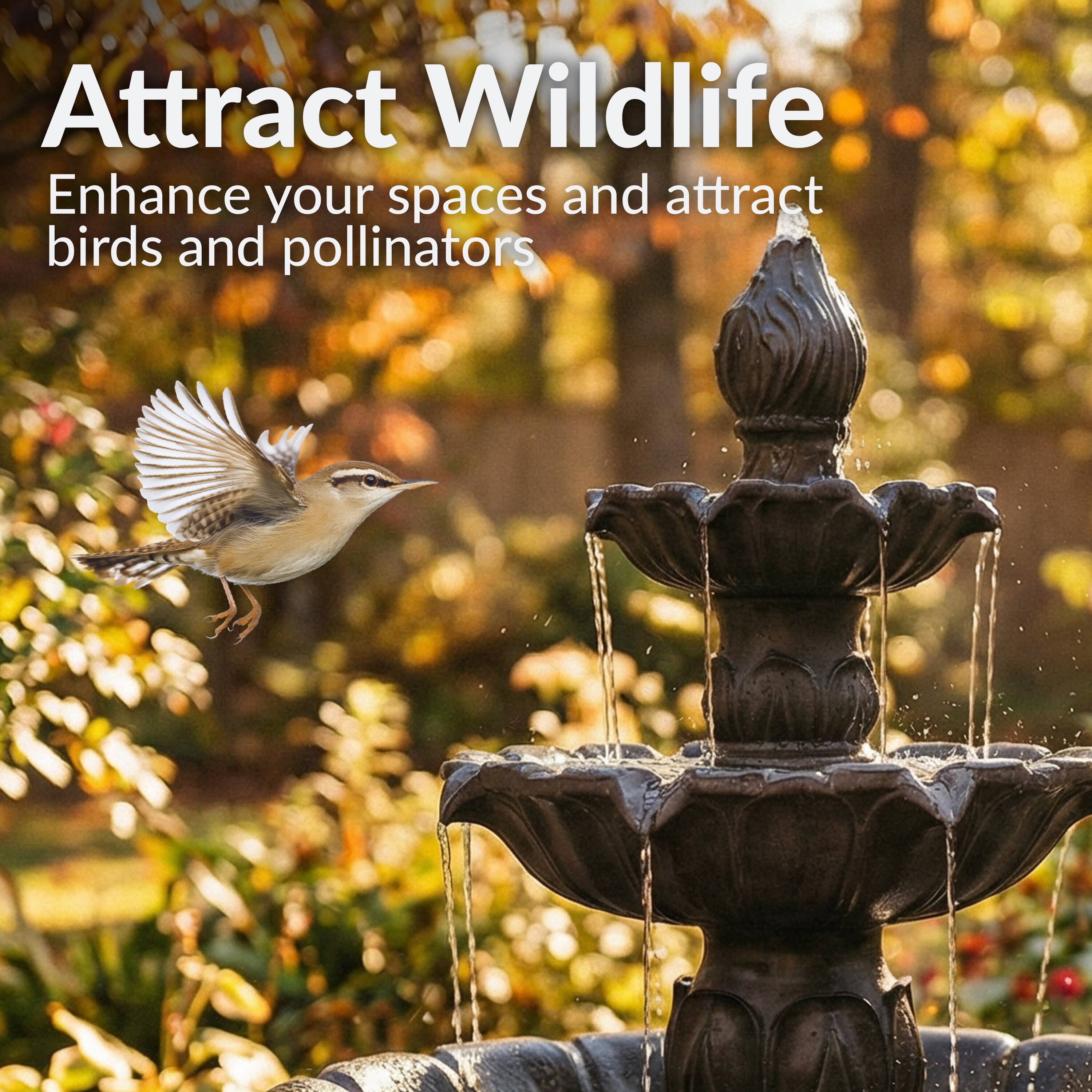 Attract Wildlife  
Enhance your spaces and attract birds and pollinators