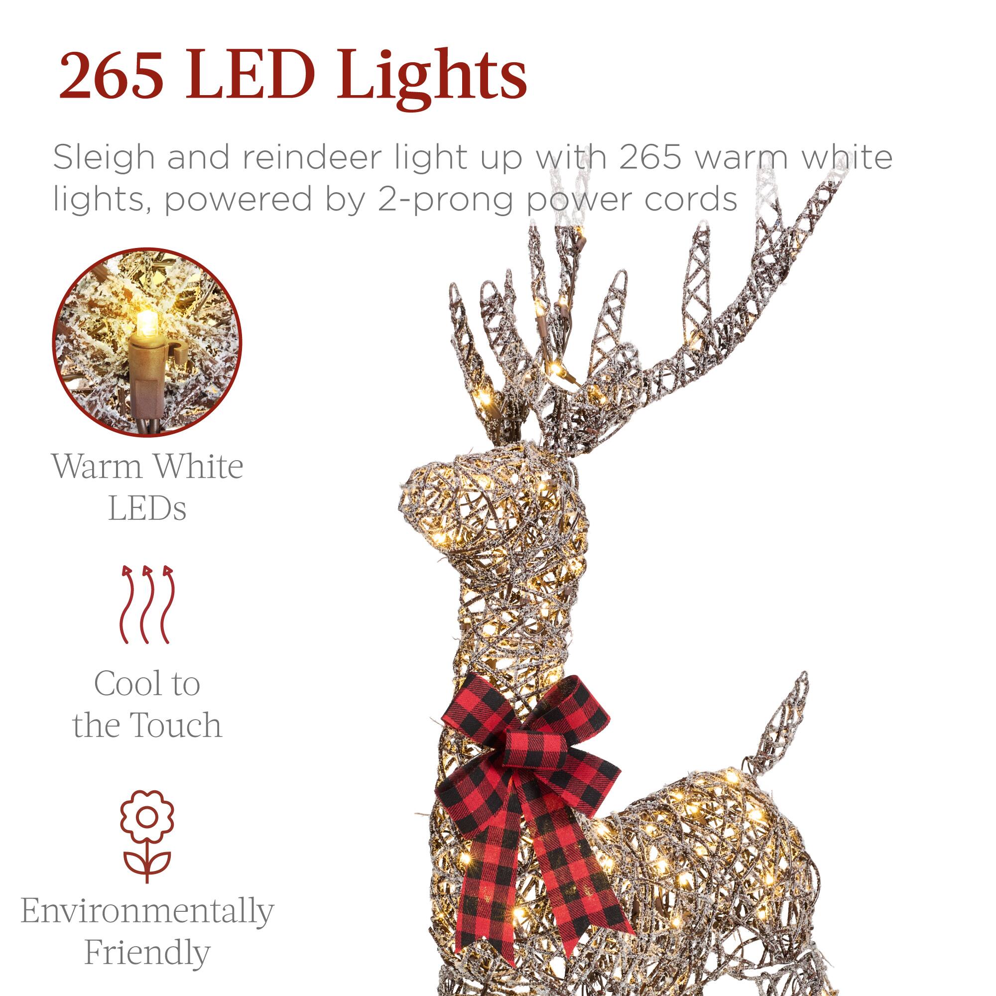 265 LED Lights

Sleigh and reindeer light up with 265 warm white lights, powered by 2-prong power cords

- Warm White LEDs
- Cool to the Touch
- Environmentally Friendly