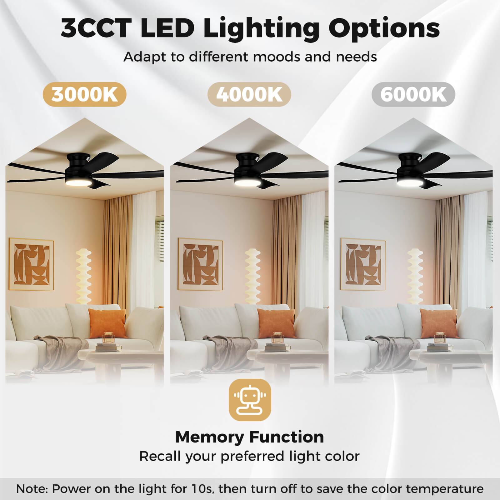 3CCT LED Lighting Options  
Adapt to different moods and needs  

3000K 4000K 6000K  

Memory Function  
Recall your preferred light color  

Note: Power on the light for 10s, then turn off to save the color temperature