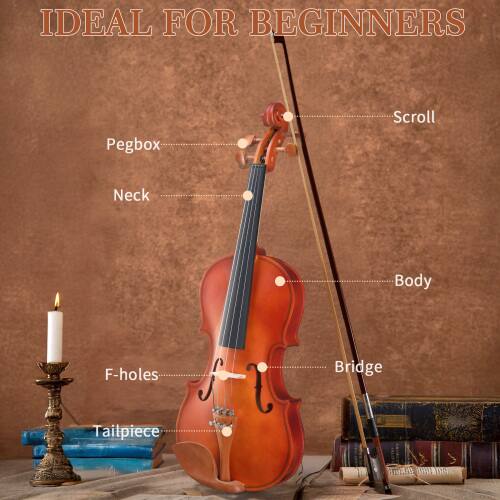 IDEAL FOR BEGINNERS  
Pegbox  
Scroll  
Neck  
Body  
F-holes  
Bridge  
Tailpiece