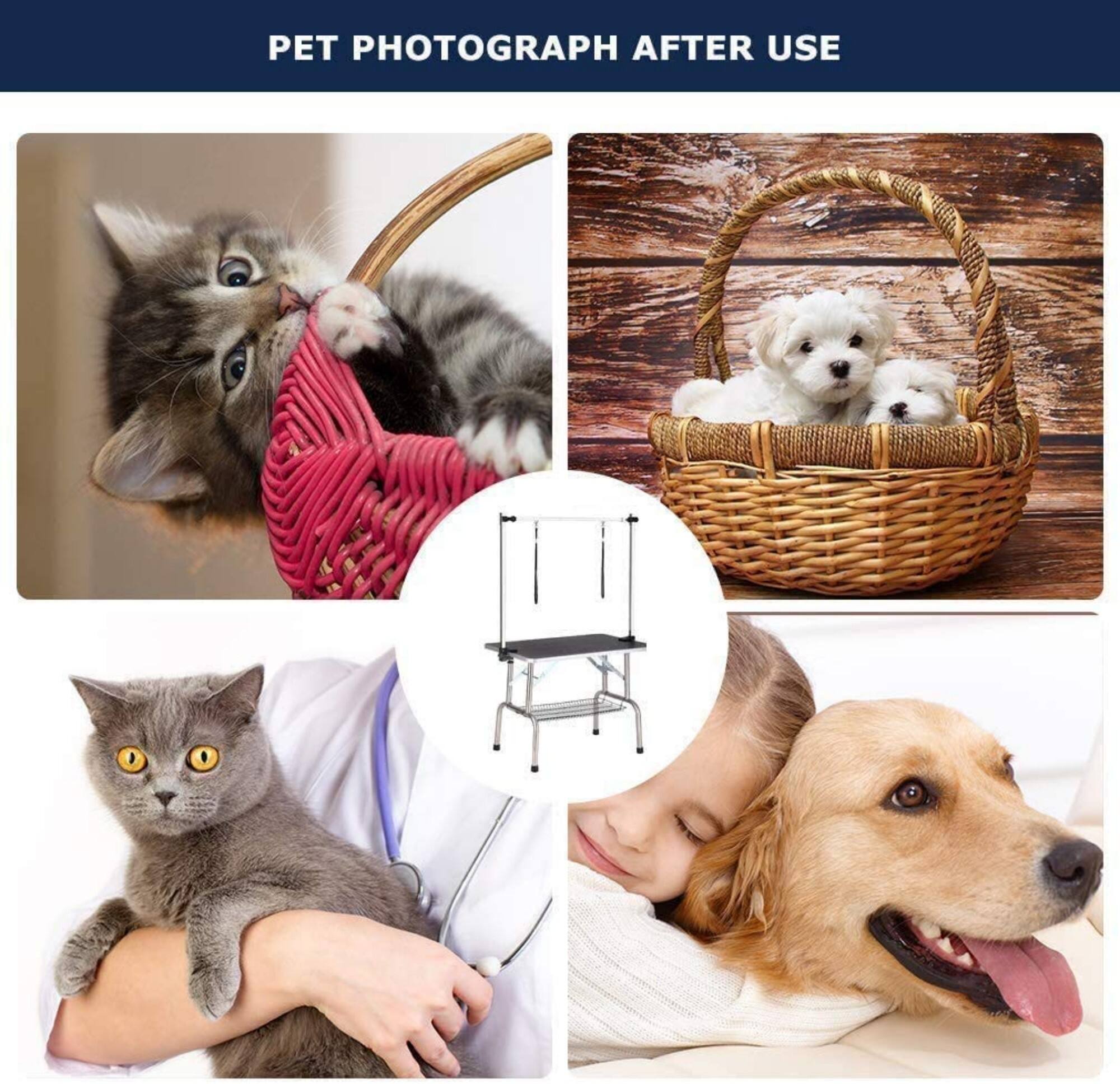 PET PHOTOGRAPH AFTER USE