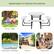 Applicable to Various Occasions
Picnic / BBQ
Backyard / Poolside
School
Restaurant