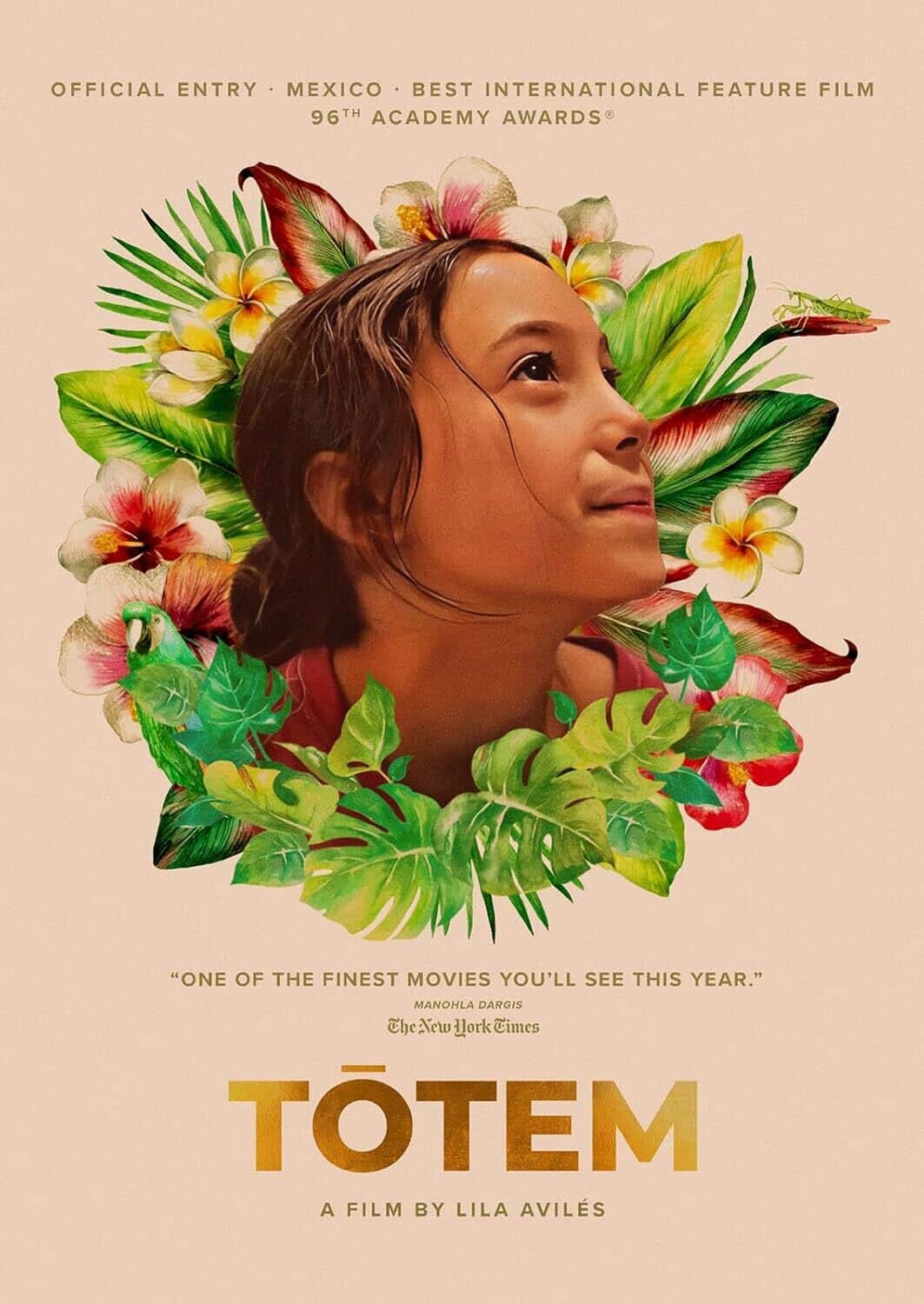 Totem (Criterion Premieres)  - DVD