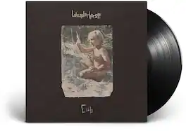 Wunderhorse - Cub - VINYL LP
