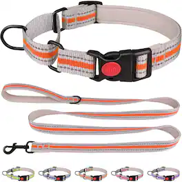 MOSZAR LLC - Martingale Collar & Leash Set, Soft Neoprene Padded, Reflective, Safety Buckle, XS for Puppies - Orange
