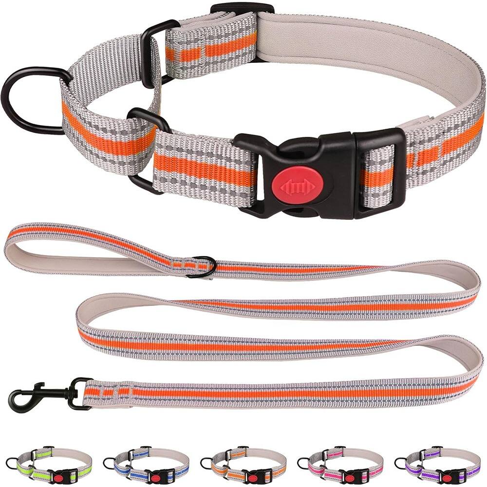 Front. MOSZAR LLC - Martingale Collar & Leash Set, Soft Neoprene Padded, Reflective, Safety Buckle, Orange XS for Puppies - Orange.