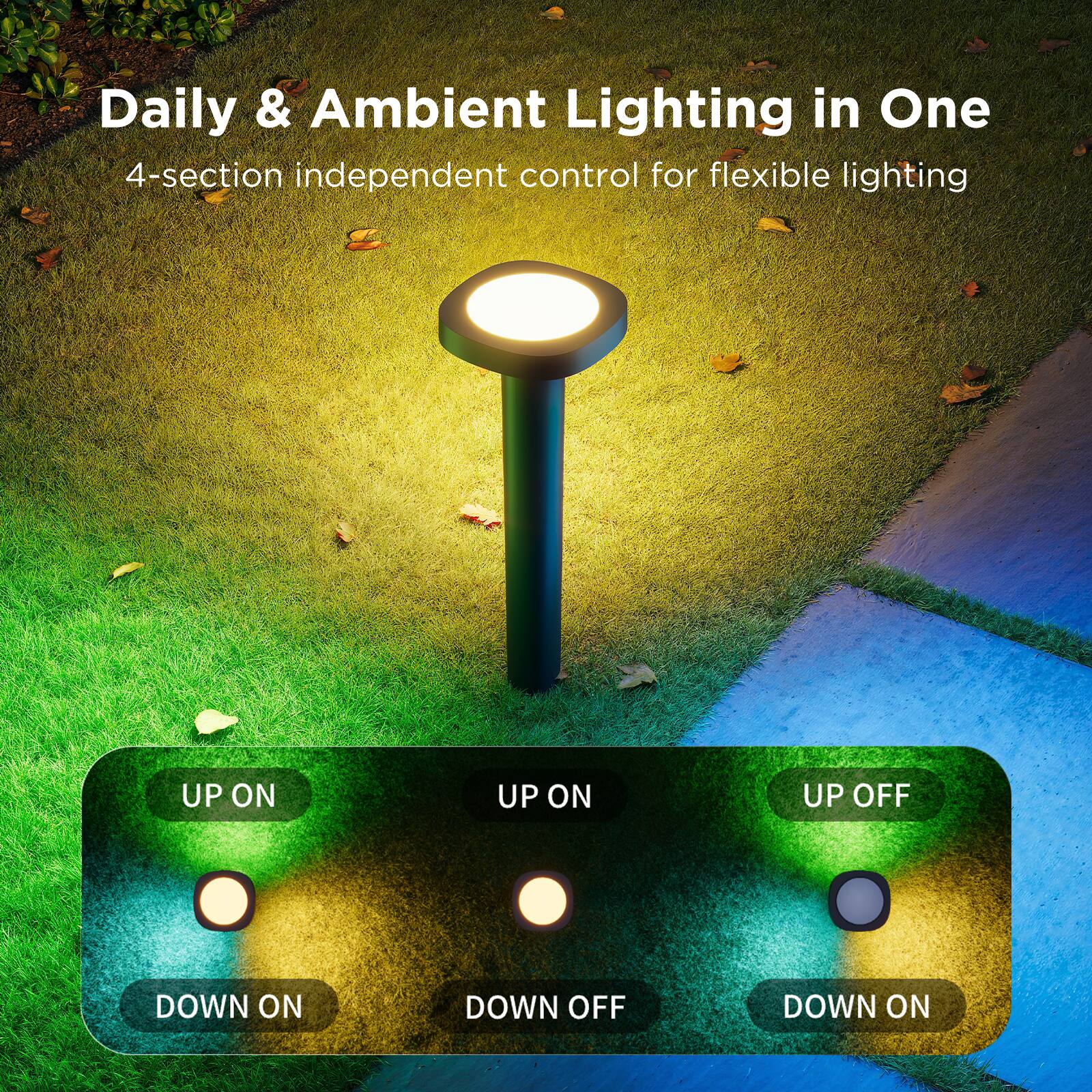 Daily & Ambient Lighting in One

4-section independent control for flexible lighting

UP ON UP ON UP OFF DOWN ON DOWN OFF DOWN ON