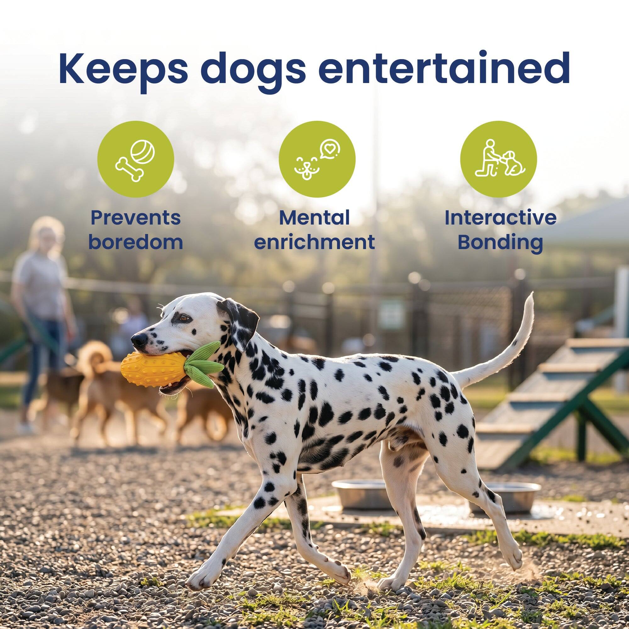Keeps dogs entertained  
Prevents boredom  
Mental enrichment  
Interactive Bonding